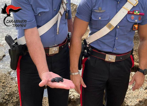 Macari: tratta in salvo dai carabinieri e liberata una tartaruga caretta caretta
