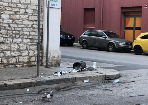Trapani: atto vandalico nella notte, divelti decine di cestini della spazzatura