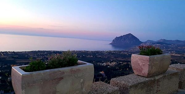 Valderice, vandali buttano nel dirupo i vasi fioriti