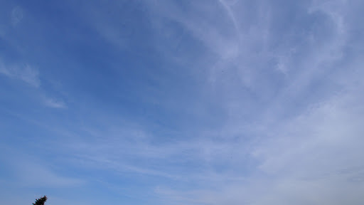 IL METEO
