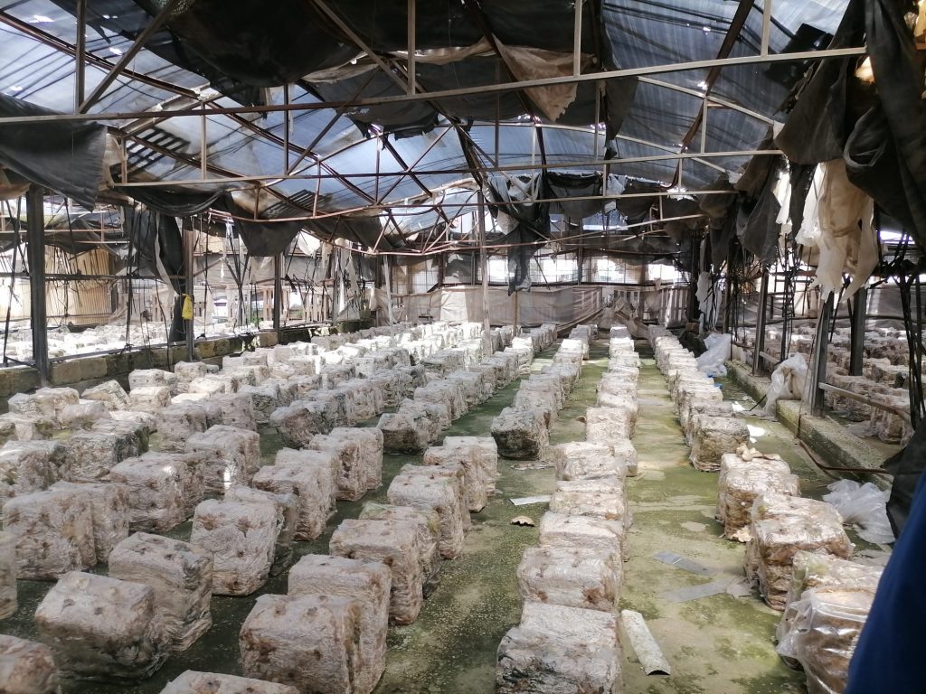 Marsala: rifiuti sotto terra nella periferia sud, sequestrata azienda di smaltimento plastica