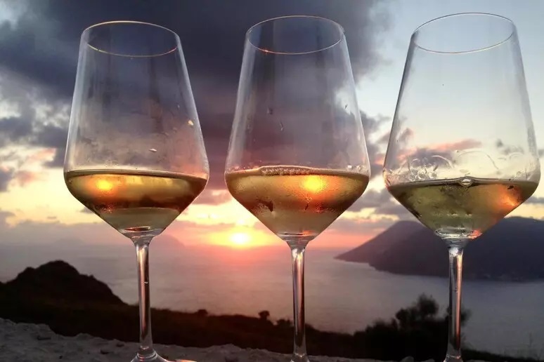 Marsala e i 'vini del Sole' si candidano a patrimonio Unesco