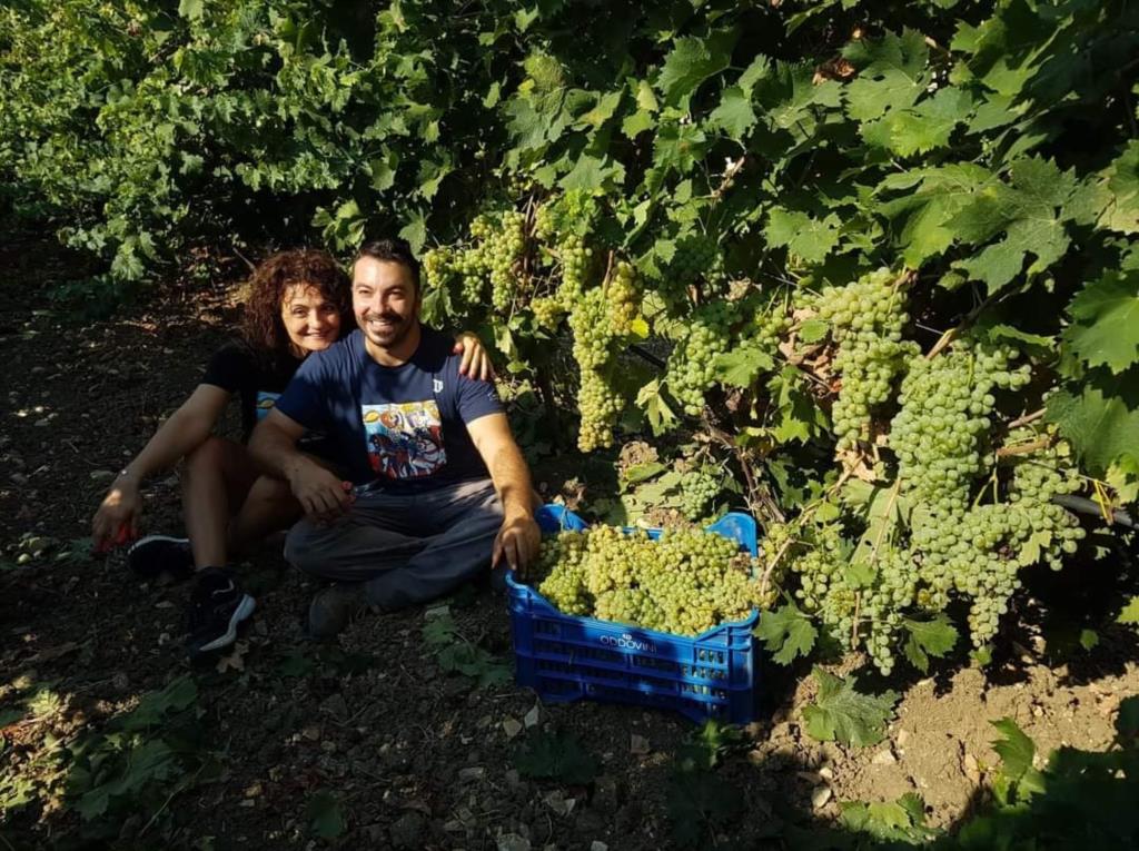Vino trapanese vince la medaglia d’oro al “Concorso internazionale Vermentino”