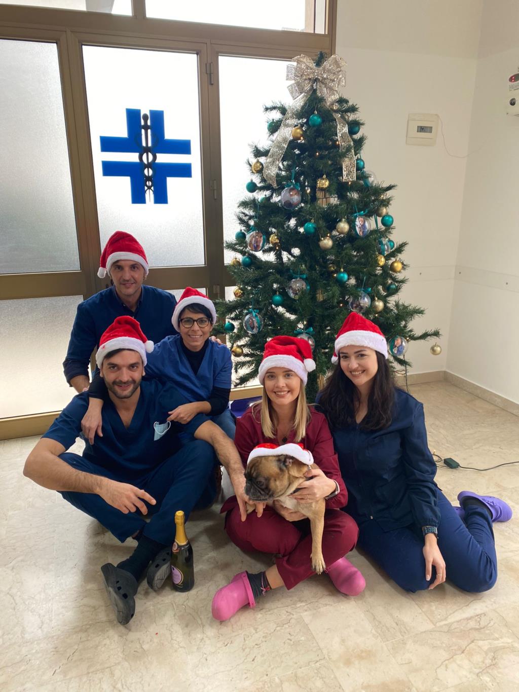 Natale: i regali perfetti per i nostri pets (VIDEO)